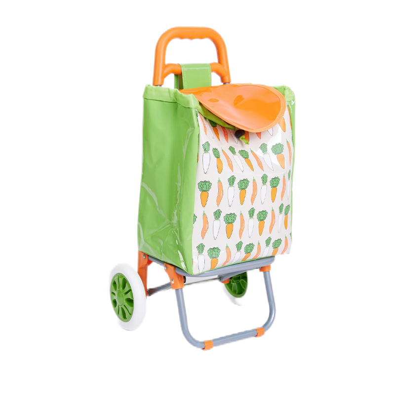 Shopping Trolly Bag