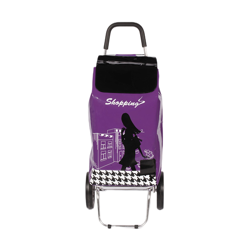 Aluminum Folding Shopping Cart