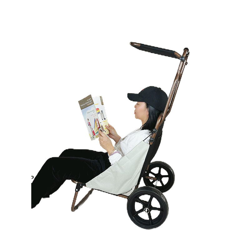 Beach Rolly