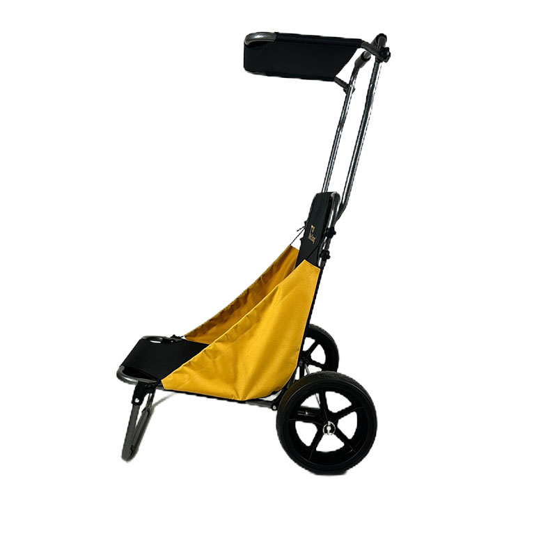 Beach Rolly