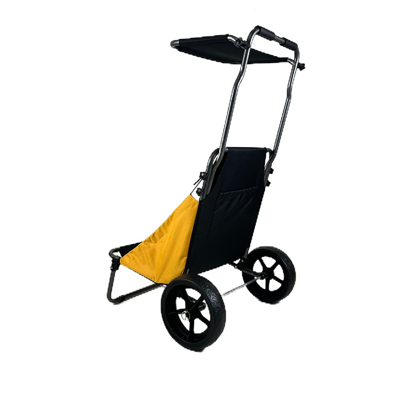 Beach Rolly