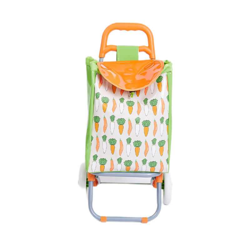 Shopping Trolly Bag